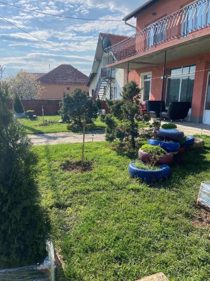 Apartman Pejovic Kladovo Eksteriør billede
